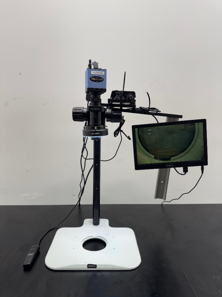 Image of Ergoscope Digital Microscope
